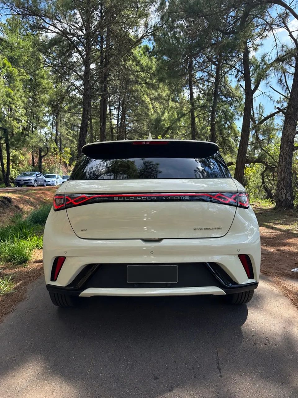 BYD Dolphin EV (Elétrico) 2024 - Foto 3