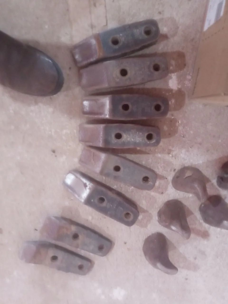 Dentes de concha para CAT