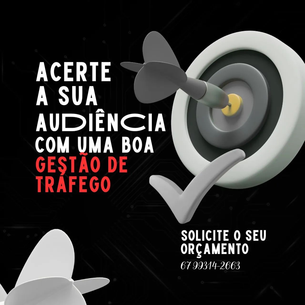 Gestão de Tráfego Pago 
