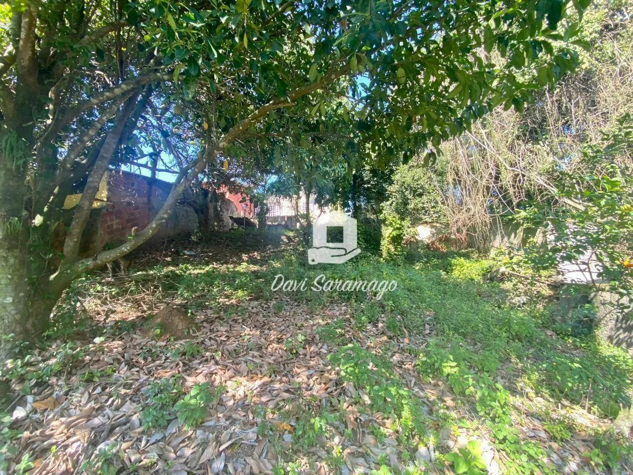 Terreno em Pendotiba - Foto 5