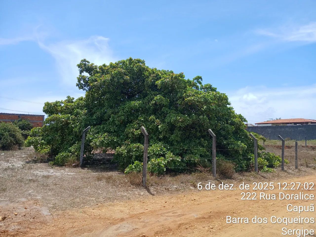 Lote no Jatobá  - Foto 4