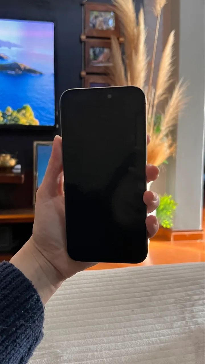 iPhone XS 256gb preto 