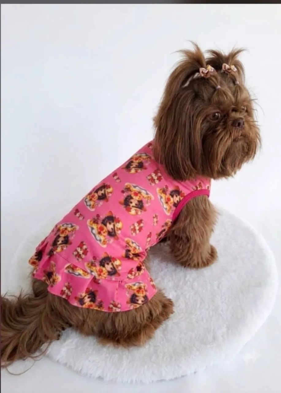 Roupas para Cães e gatos  - Foto 2