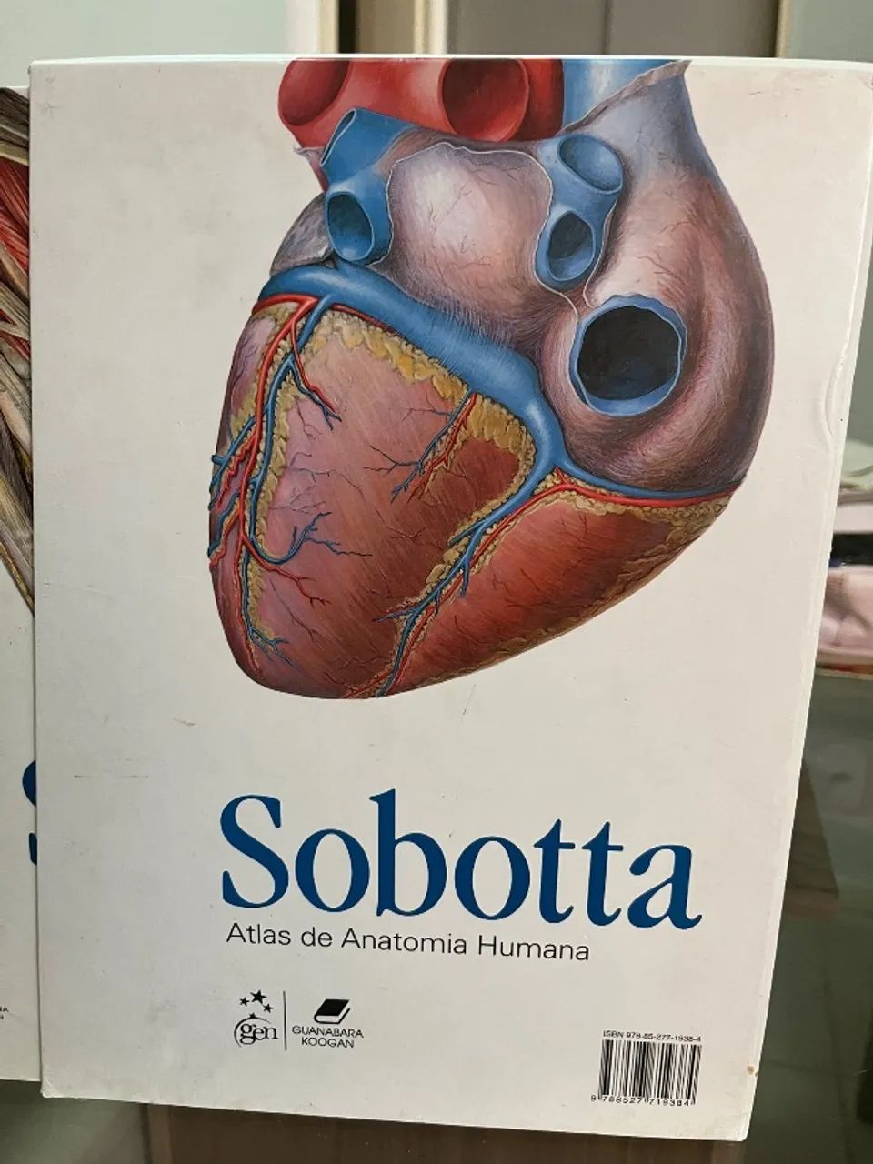 COLEÇÃO SOBOTA ANATOMIA - Foto 3