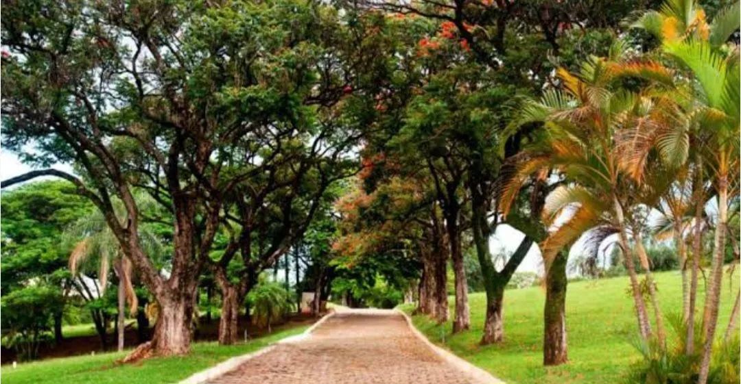 Jazigo Parque da Colina. - Foto 2