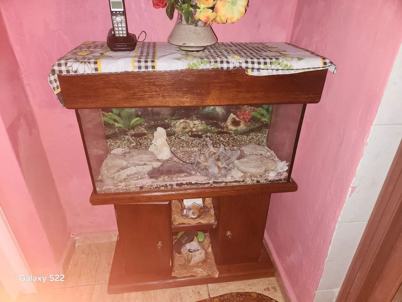 Aquário  - Foto 2