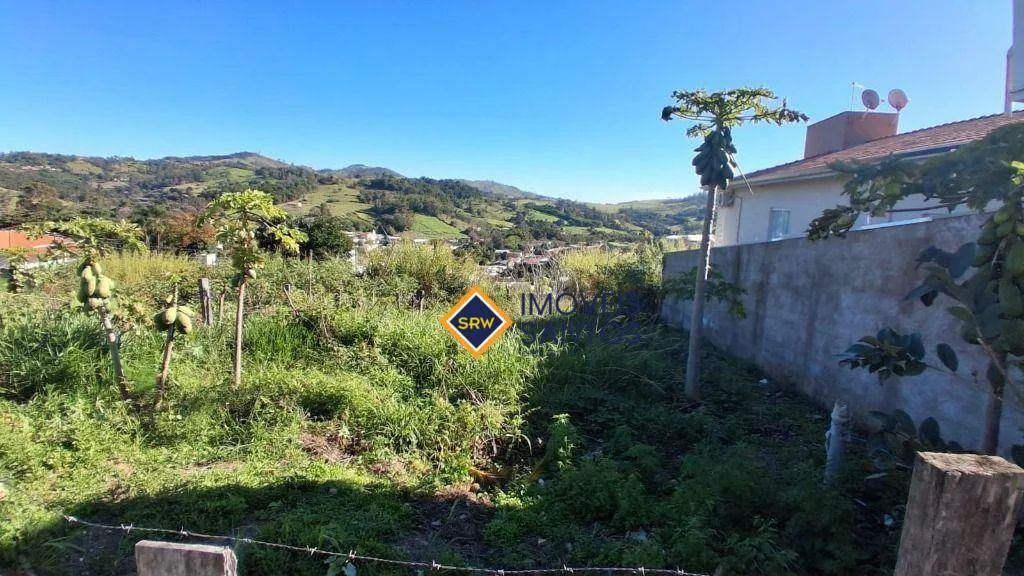 TERRENO PLANO COM 250 m² - MONTE ALEGRE DO SUL - Foto 2
