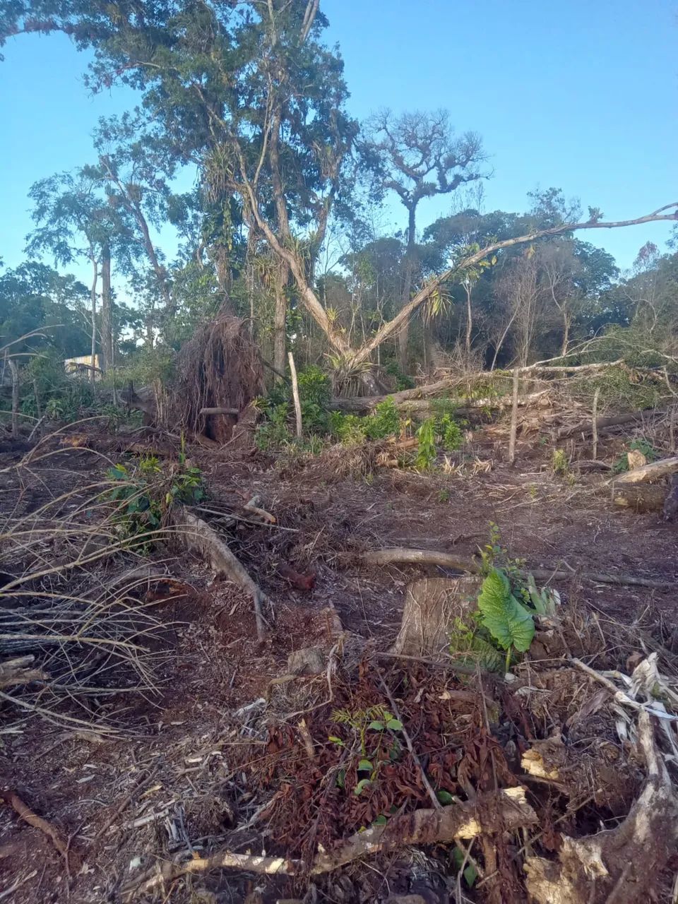 Terreno em Guaratuba  - Foto 3