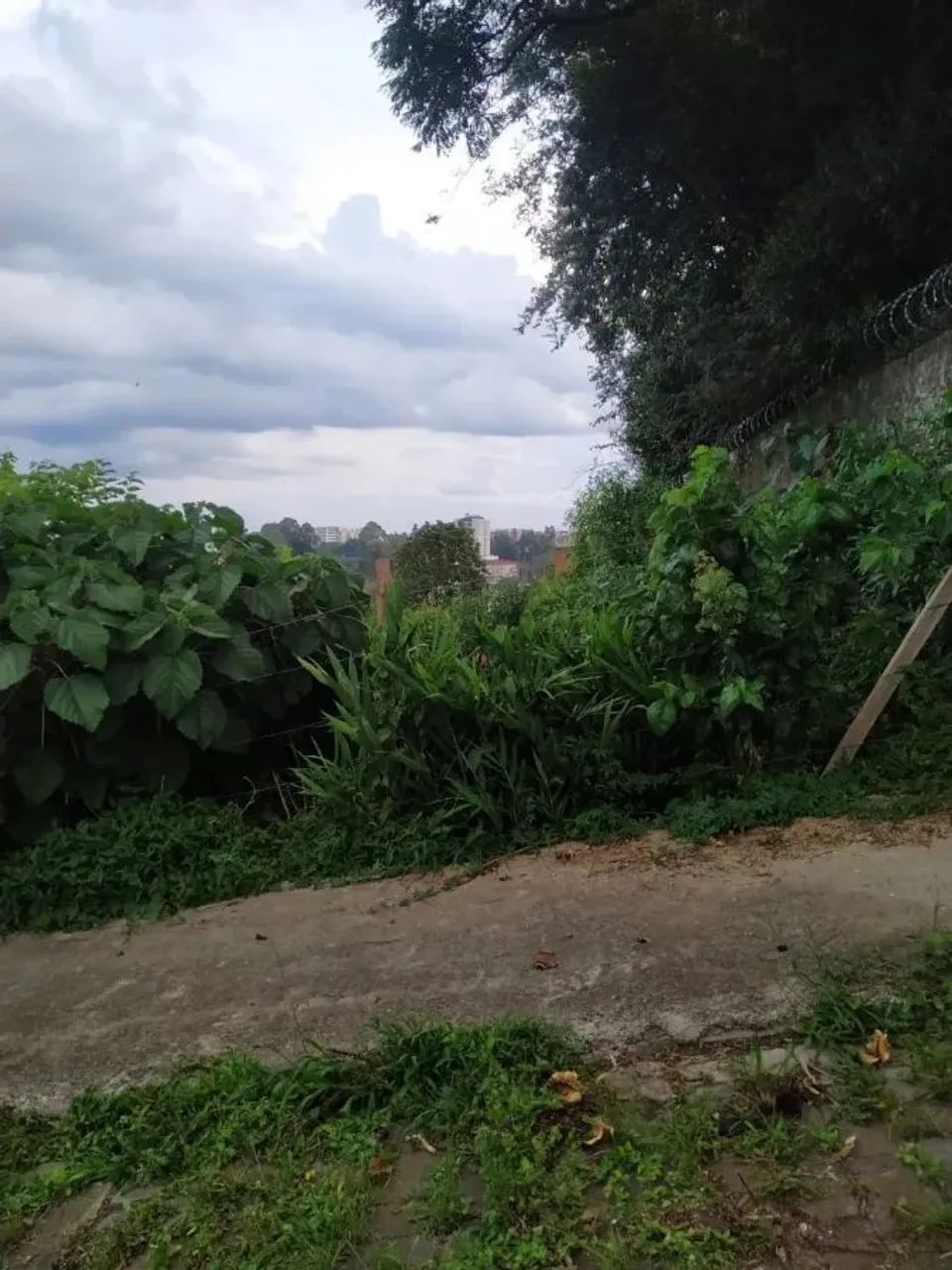 CAXIAS DO SUL - Terreno Padrão - CINQUENTENÁRIO