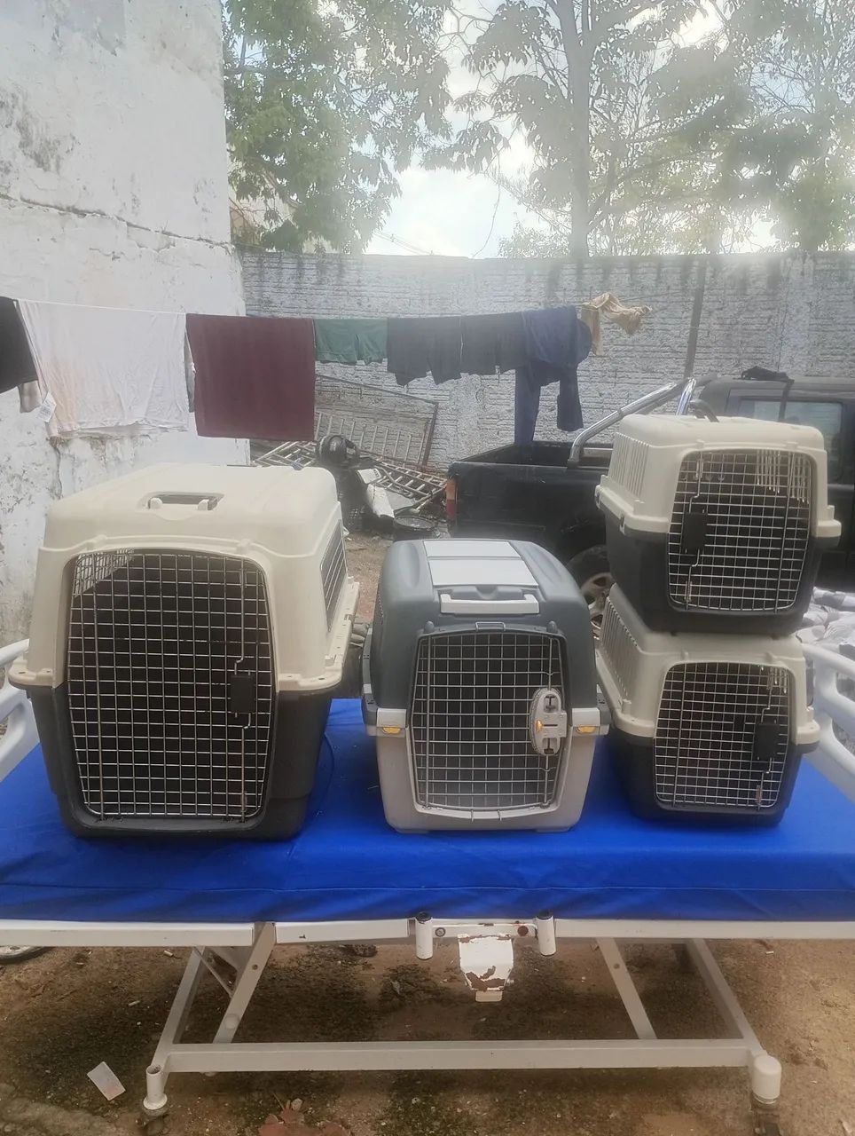 VENDO CAIXAS DE TRANSPORTE PARA CÃES E GATOS ? - Foto 2