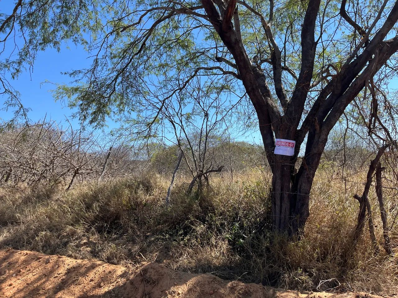 Vende-se terrenos