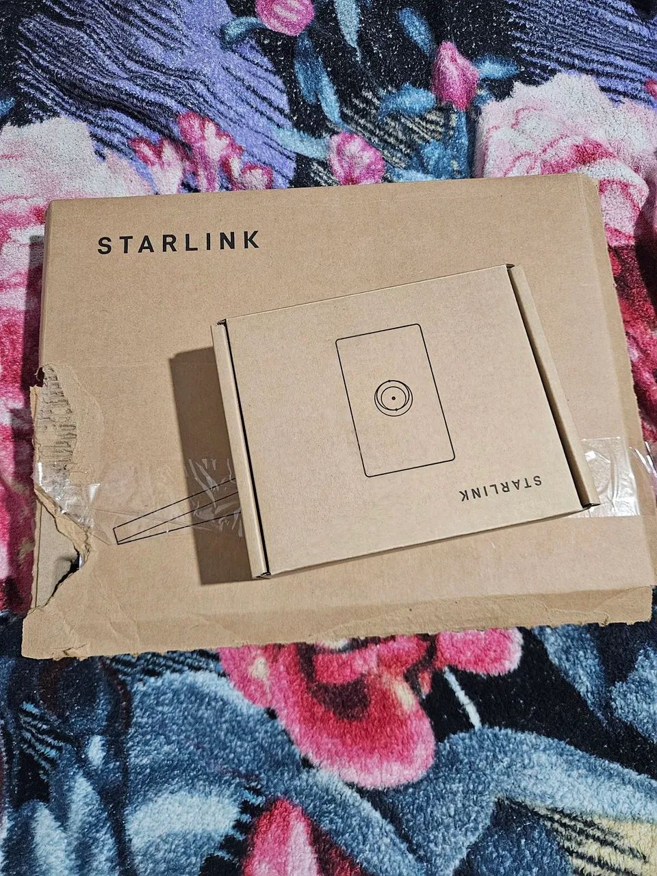 Starlink 