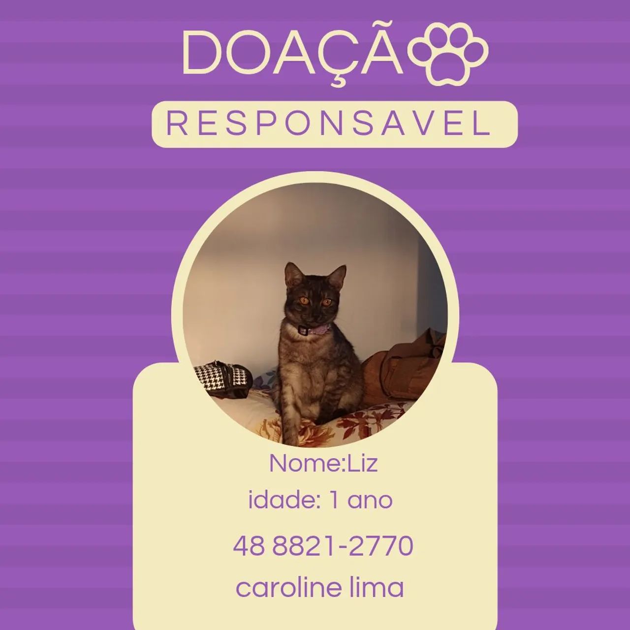 DOAÇÃO 