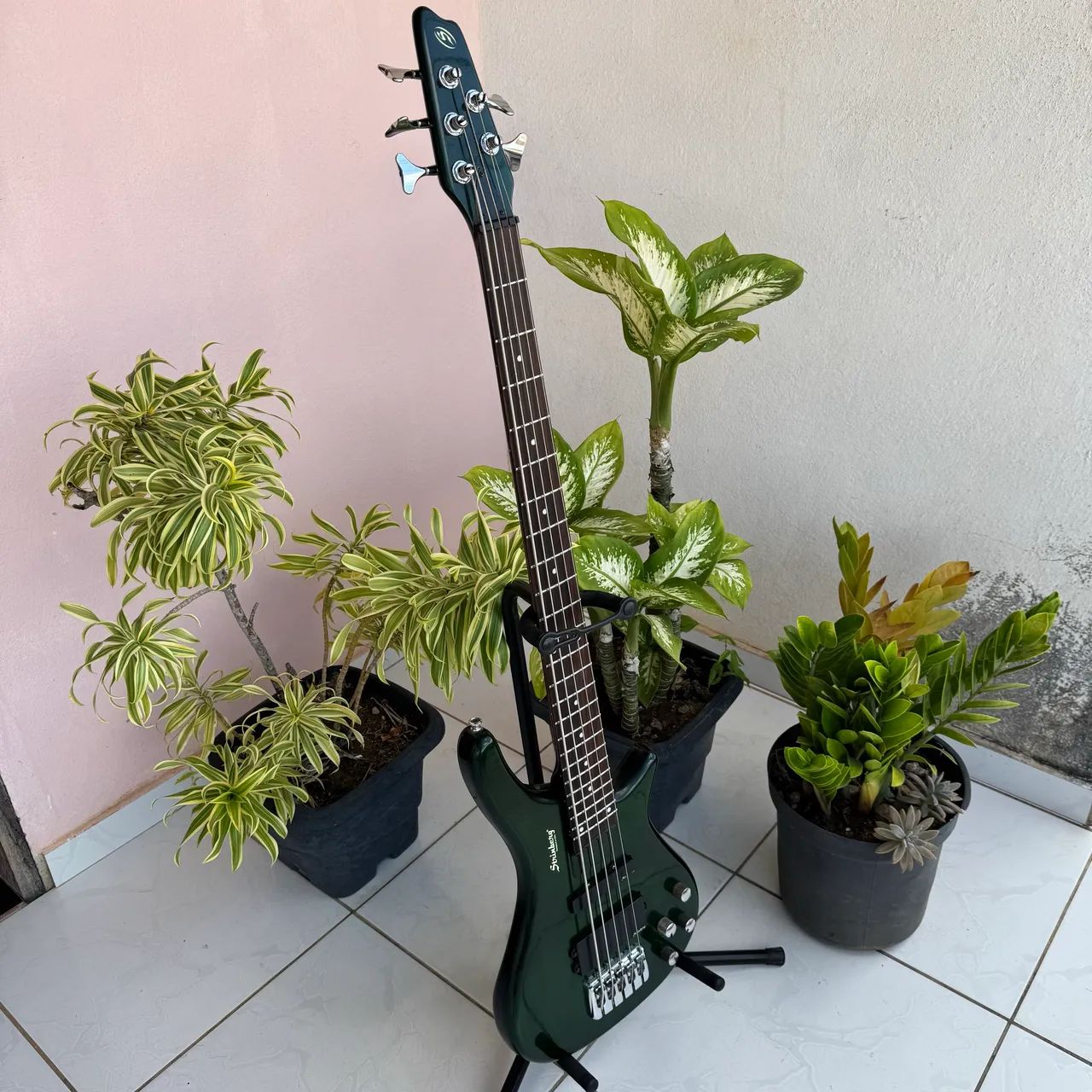 Baixo Strinberg 5c - Foto 4