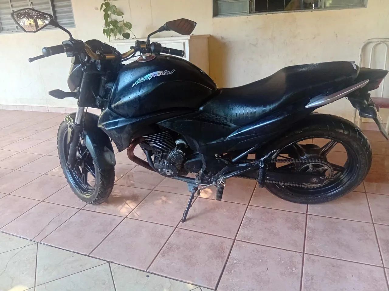 CB300 2011