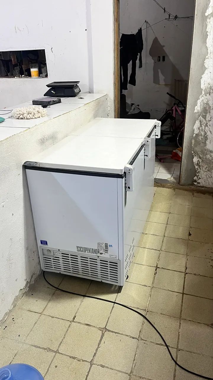 Frezzer 2 portas 437Litros esmaltec  - Foto 4