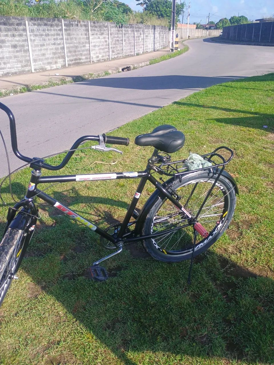 Bicicleta safari  - Foto 5