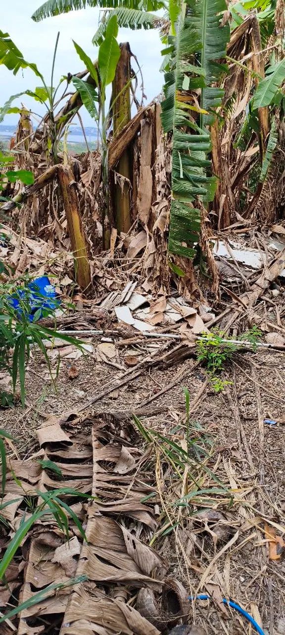 Terreno Ramos  - Foto 4