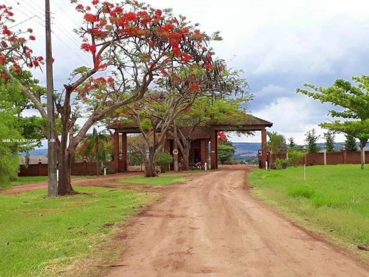 Terreno para Venda em Sertanópolis - Foto 2