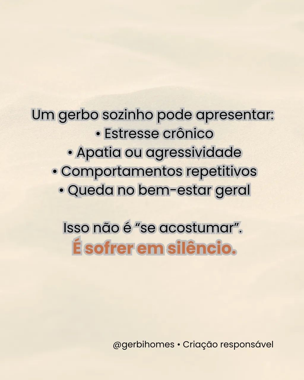 Gerbil |Esquilo da Mongólia| Gerbo  - Foto 2