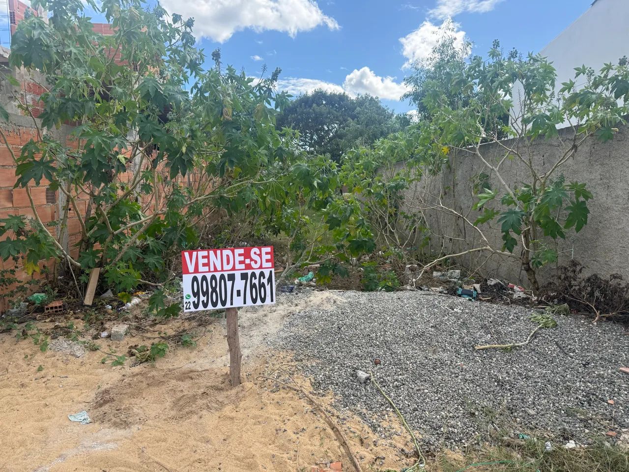 Foto - São João da Barra - 