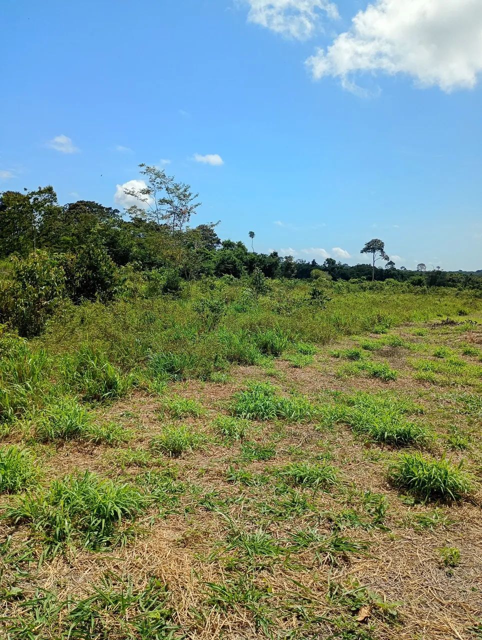 Terrenos a venda  - Foto 2