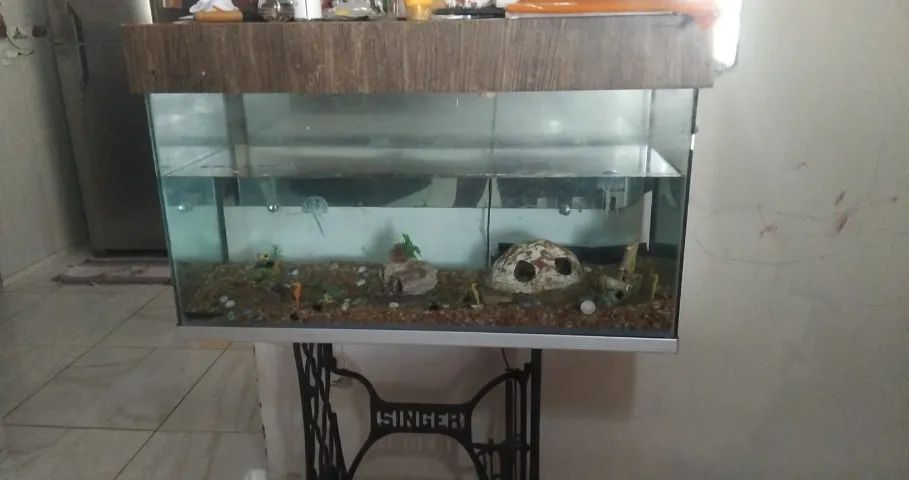 Aquário 