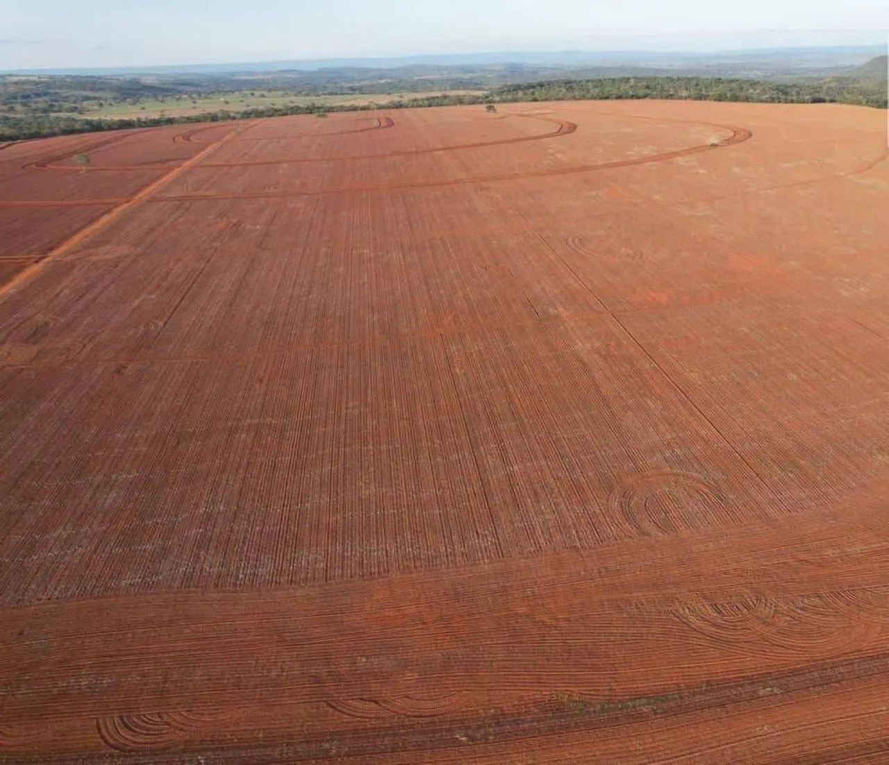 Fazenda com Dívida 989 alqueires em Barra do Garça MT.  - Foto 4