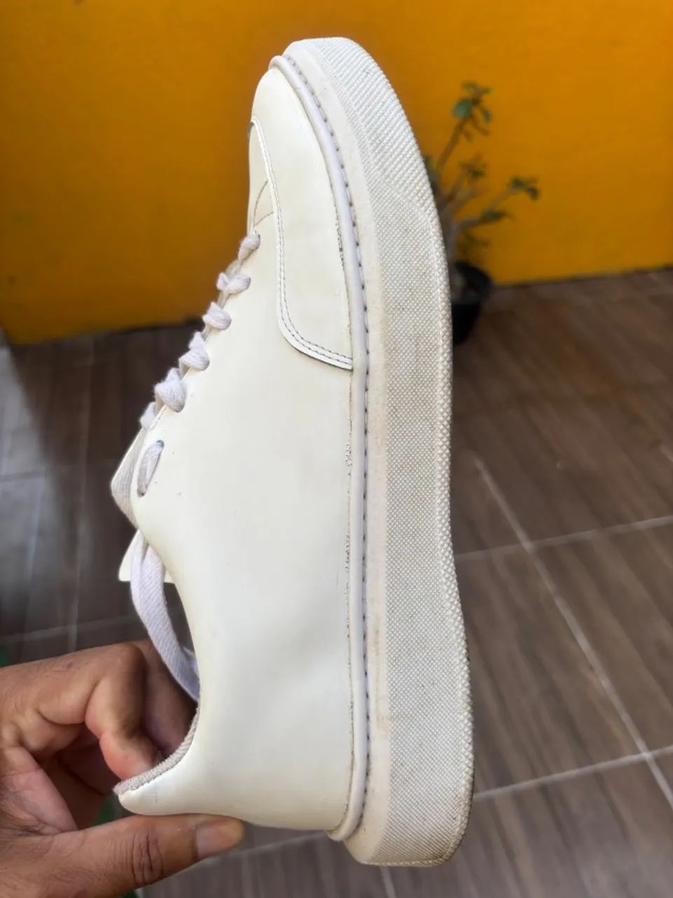 Tenis