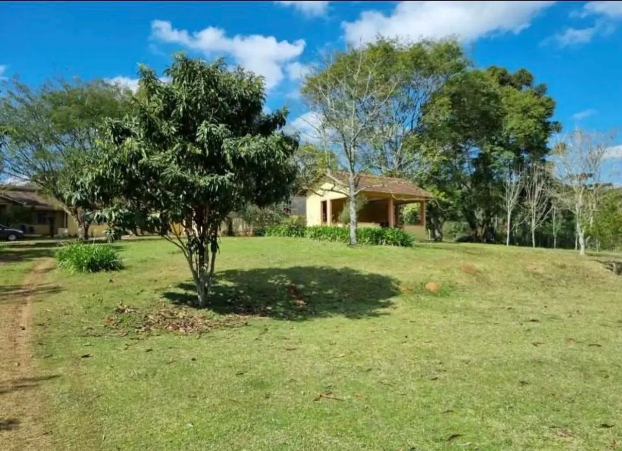 Chácara Contenda-Pr  - Foto 3