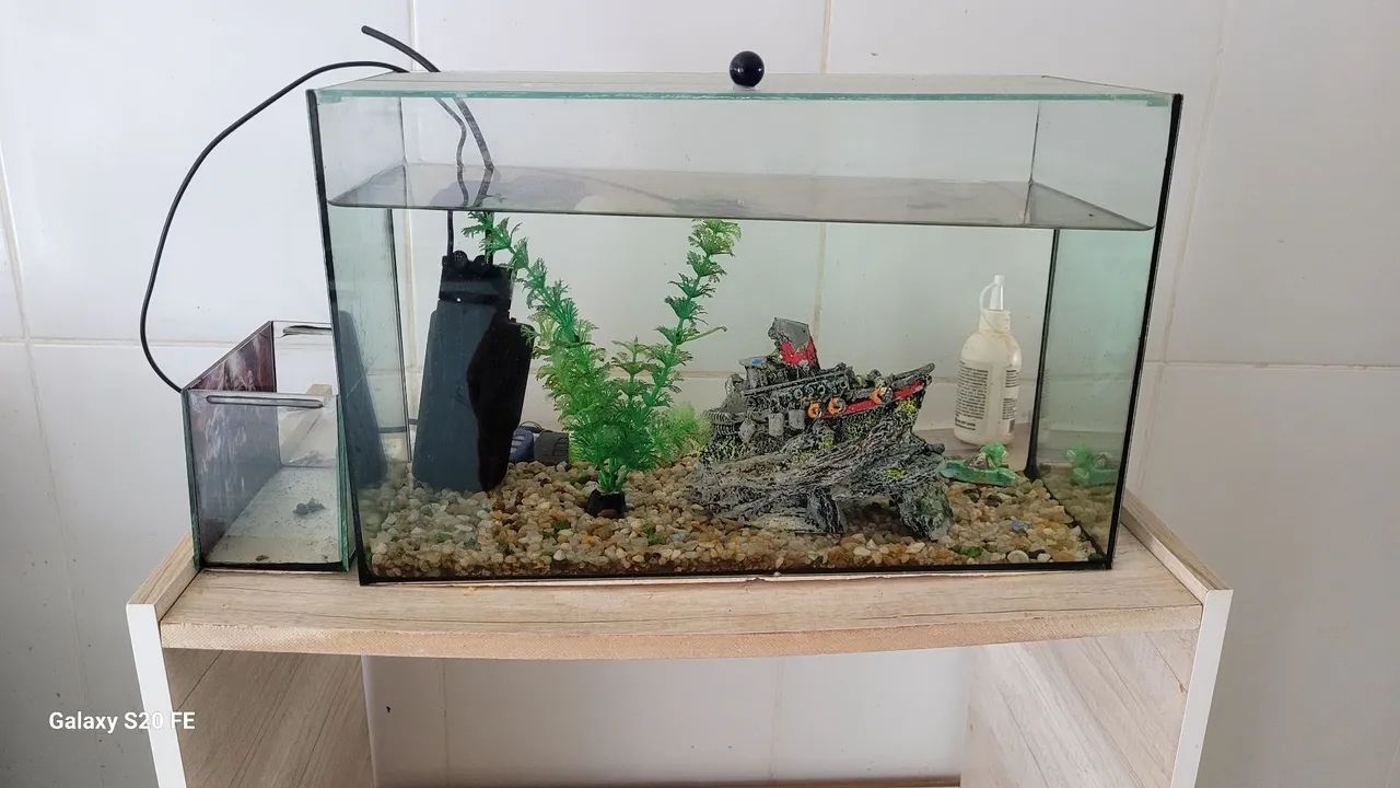 Aquário 50 litros e acessórios 