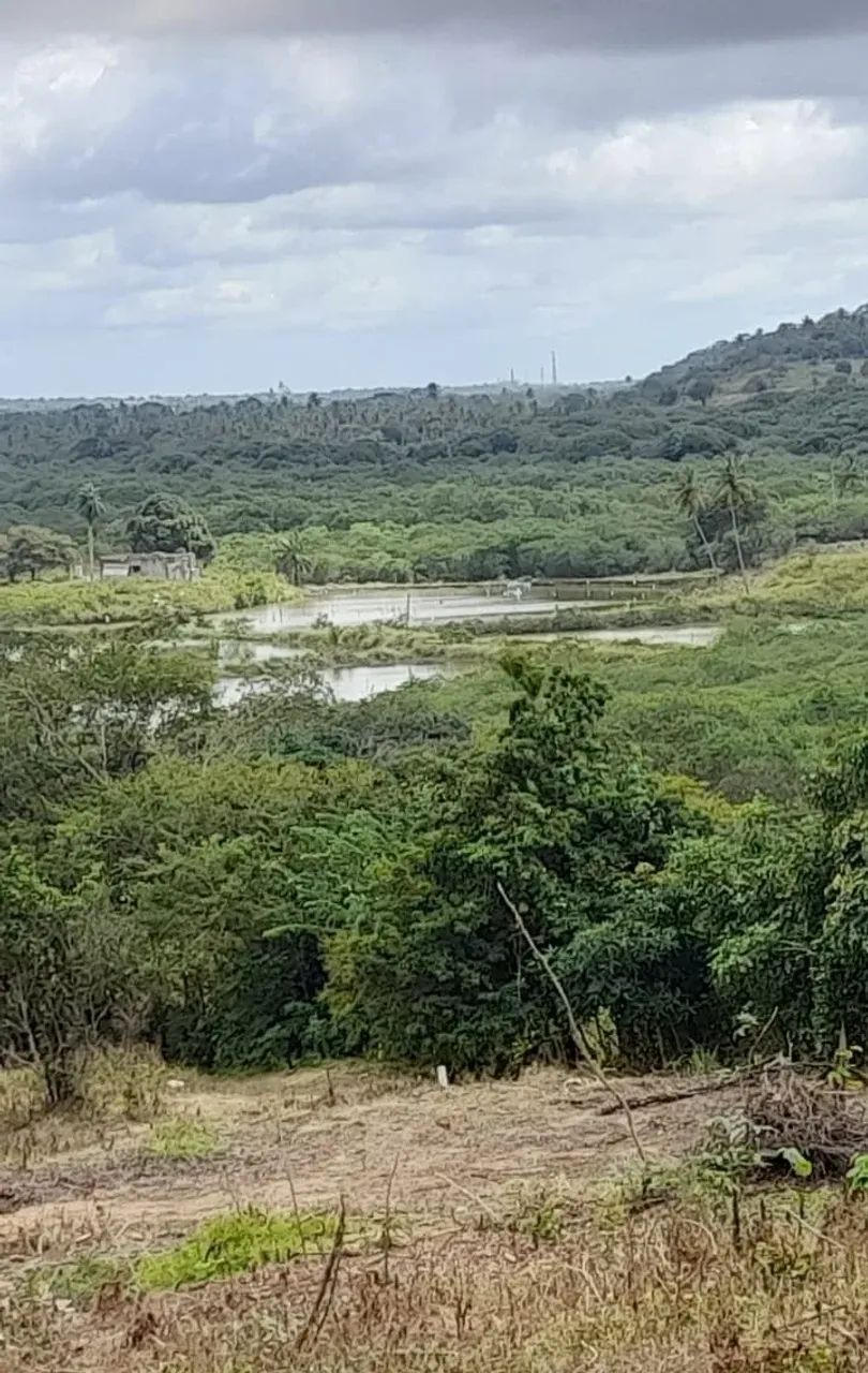 Terrenos em Abreu e Lima parcelas de R$ 499, - Foto 2
