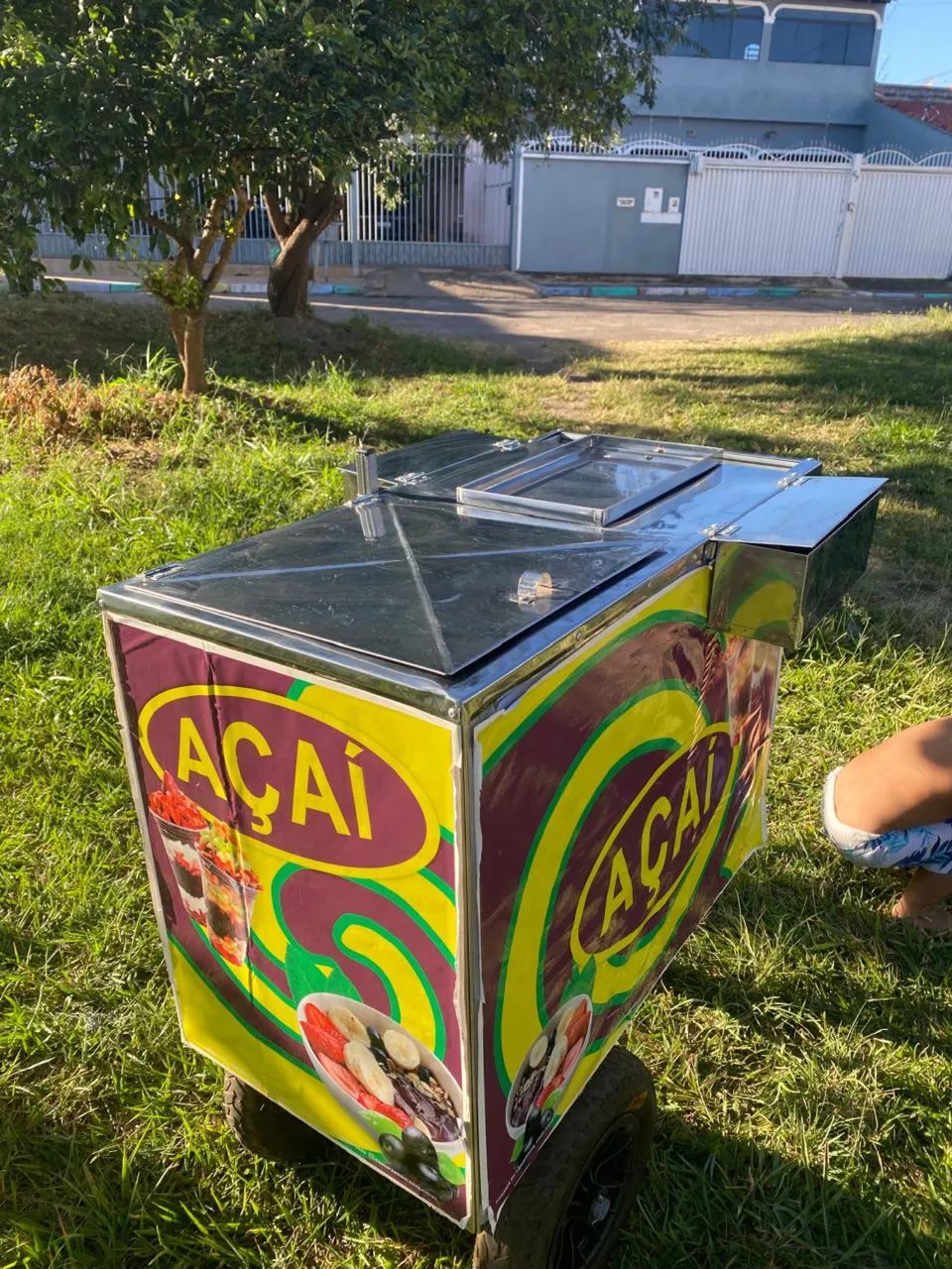 Carrinho de açaí R2