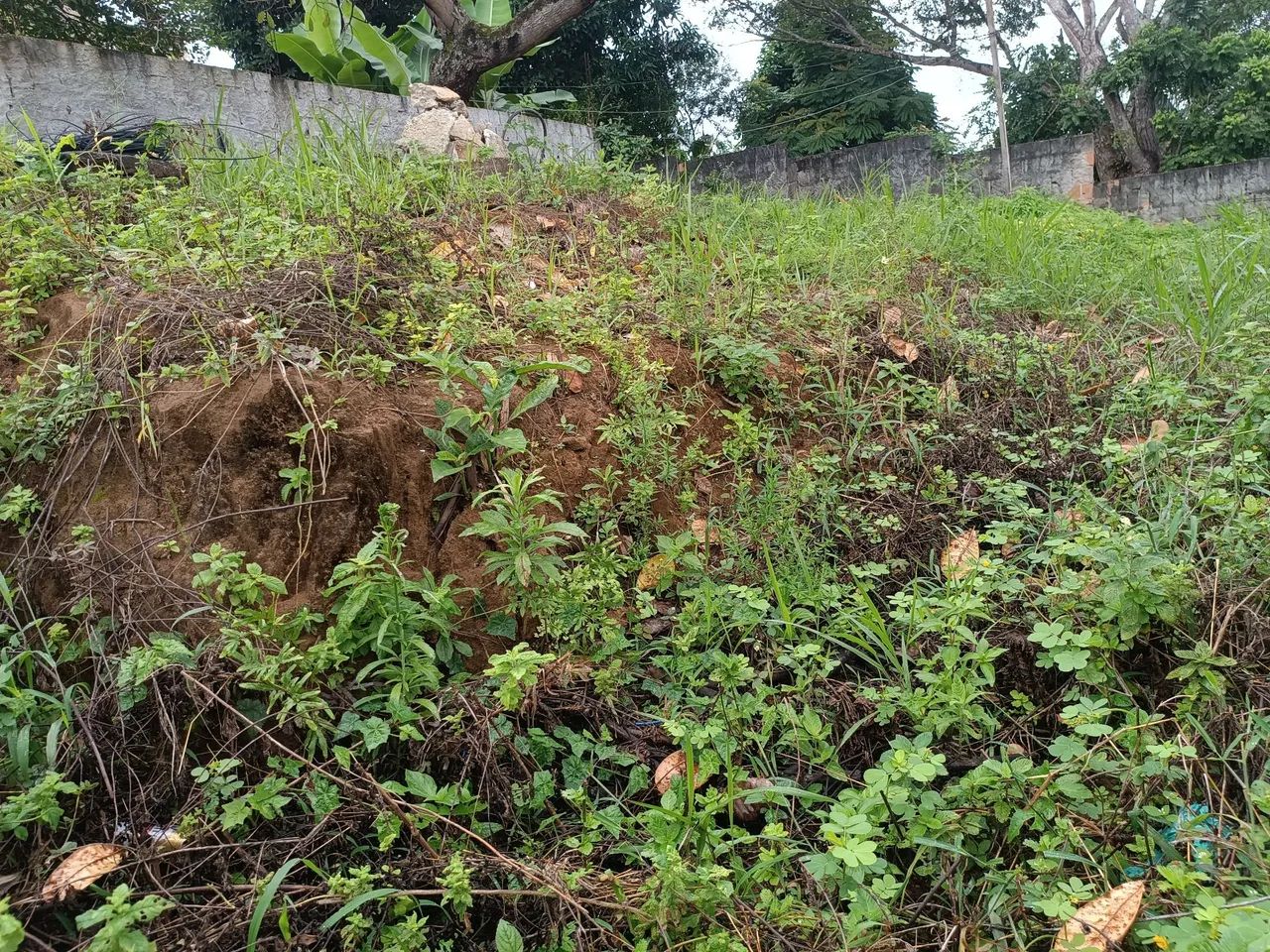 Oportunidade Terreno acessível  - Foto 3