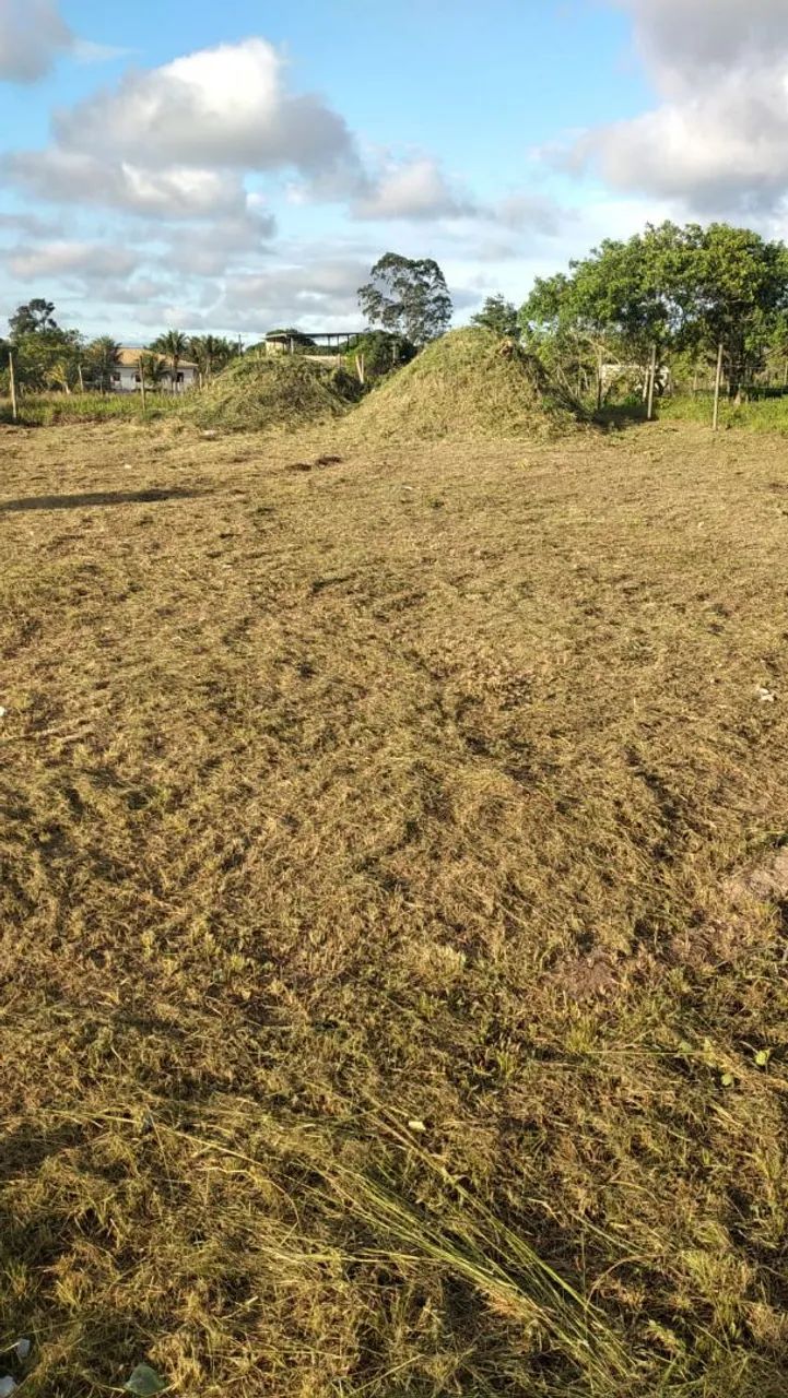 Terreno 750m² 20x30 - Foto 3