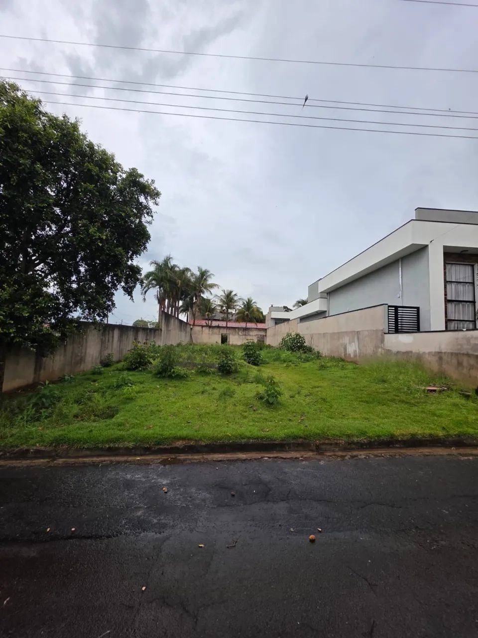 Foto - Campinas - Bosque de Barão Geraldo