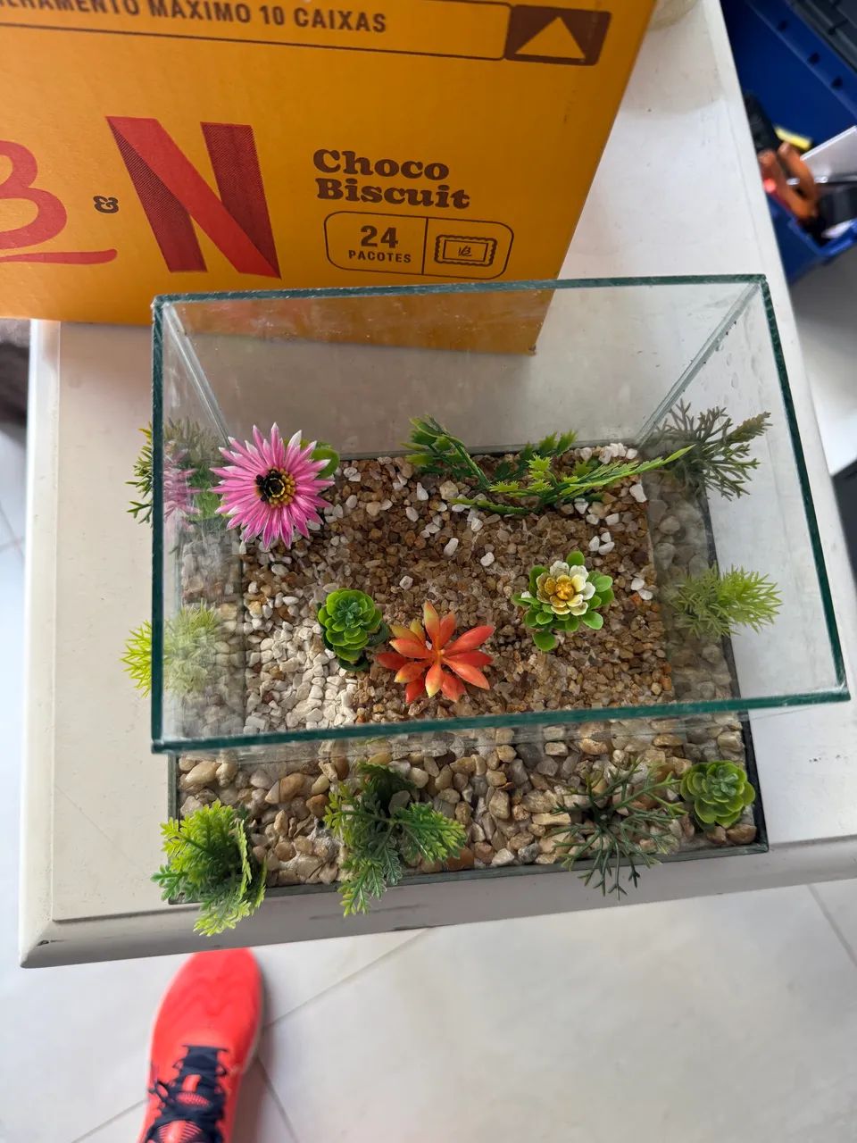 Aquário Betta Beteira completo - Foto 3