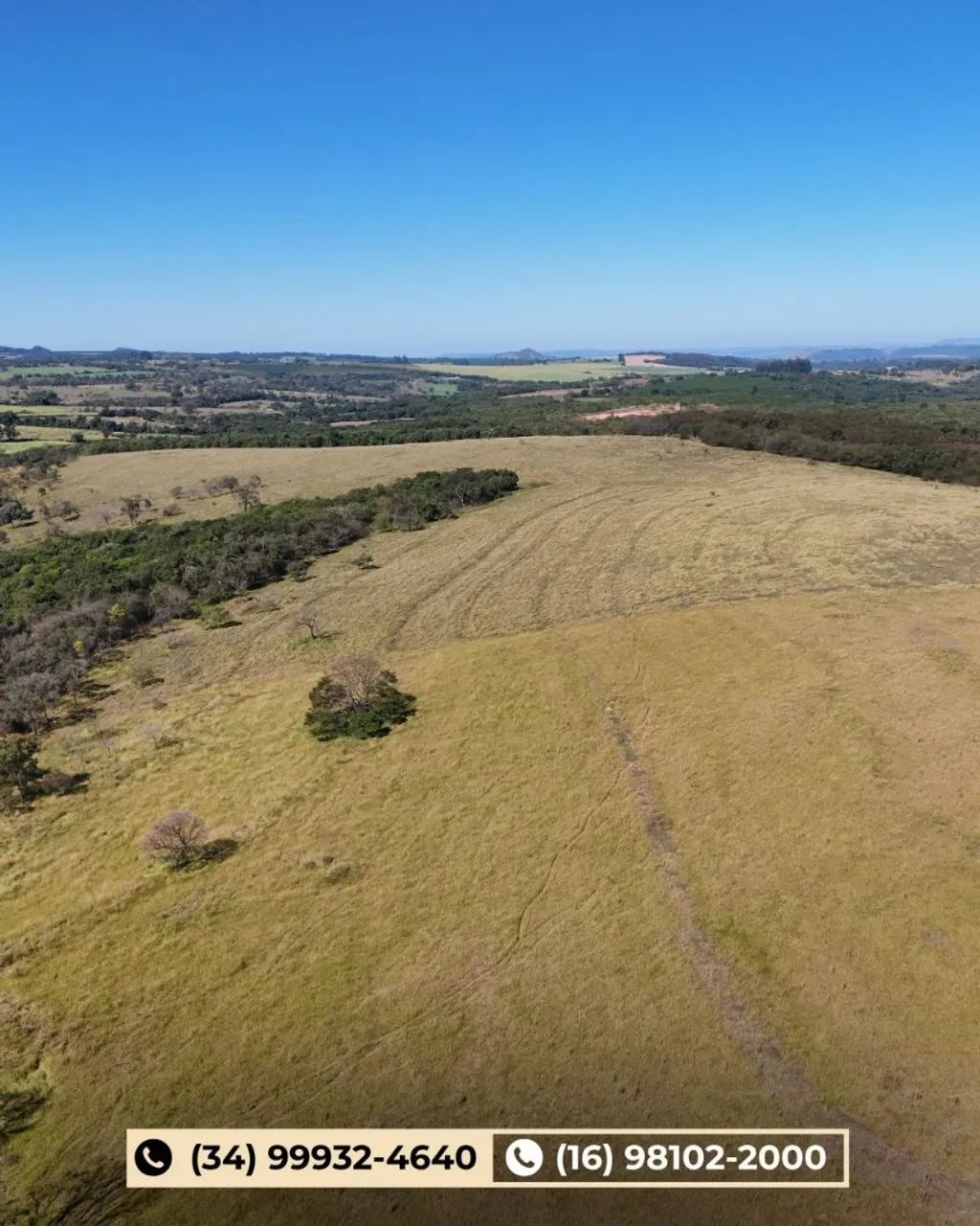 Fazenda em Cajuru-SP  - Foto 2