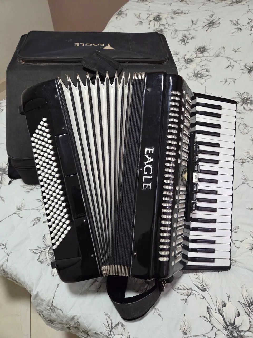Acordeon eagle 120 baixos