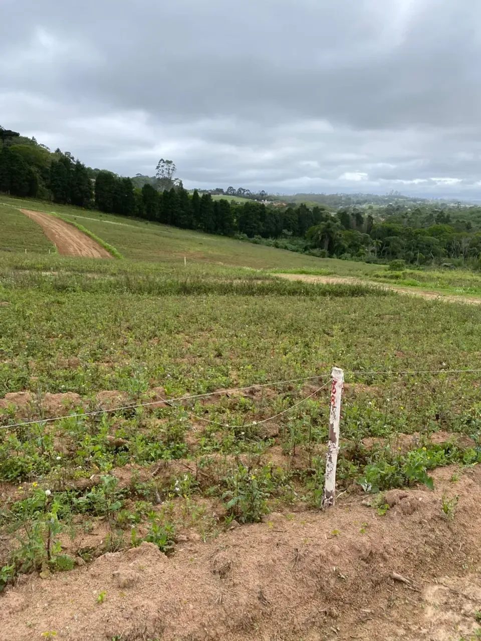 Oportunidade única: terrenos acessíveis em Cotia! - Foto 5