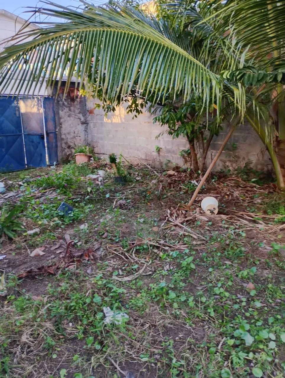 Terreno em Vila de Abrantes 