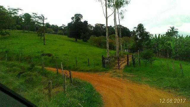 Fazenda Vale do Jequiriçá Amargosa - Foto 10