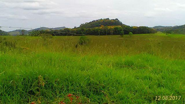 Fazenda Vale do Jequiriçá Amargosa - Foto 8