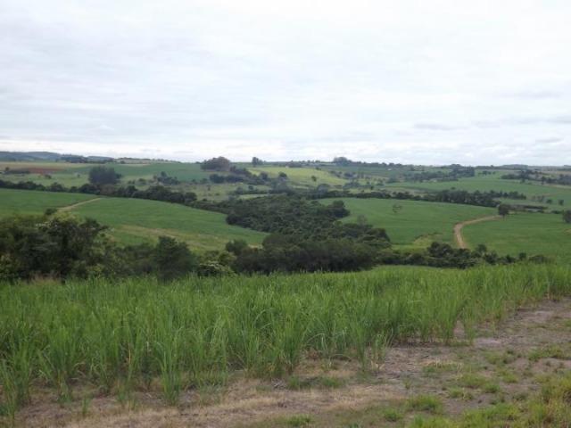 Tatuí-sp, Fazenda 45 Alqueires/Cod.283