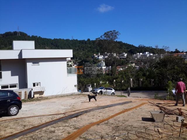 Terreno residencial à venda, itacorubi, florianópolis. - Foto 10