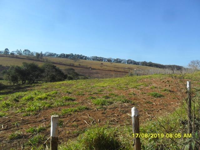 174B/ Belo haras de 12 ha pertinho da cidade de Entre Rios de Minas - Foto 10