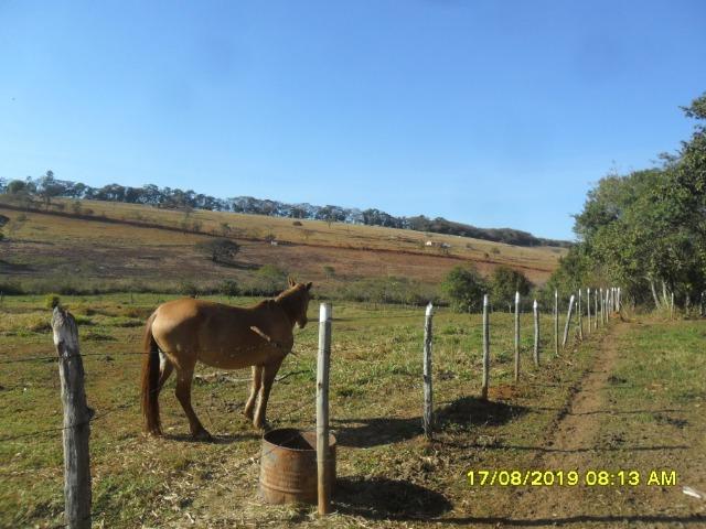 174B/ Belo haras de 12 ha pertinho da cidade de Entre Rios de Minas - Foto 12