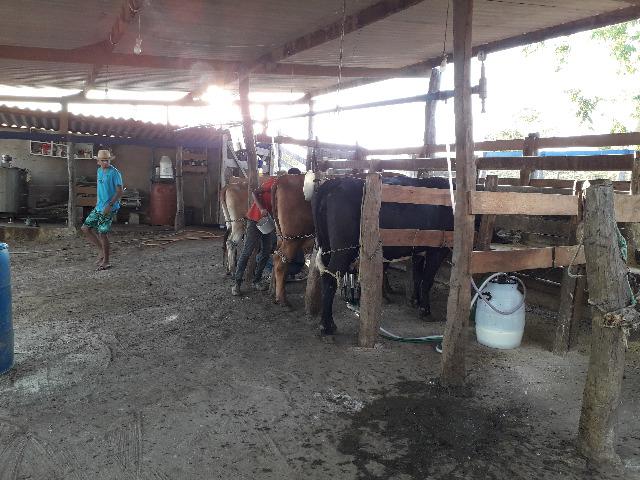Fazenda à venda, por R$ 900.000.00 - Zona Rural - Luziânia/GO - Foto 8