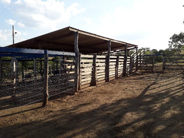 Fazenda à venda, por R$ 900.000.00 - Zona Rural - Luziânia/GO - Foto 11