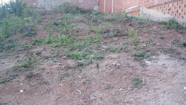 LOTE 10X20 Rendeiras, Aceito Trocas
